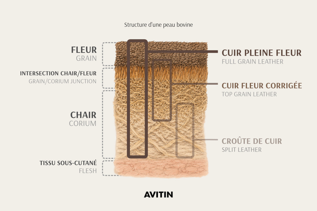 Schéma de coupe transversale des différentes couche d'une peau bovine montrant la fleur, la chair et les différentes découpes (pleine fleur, fleur corrigée, croûte de cuir)